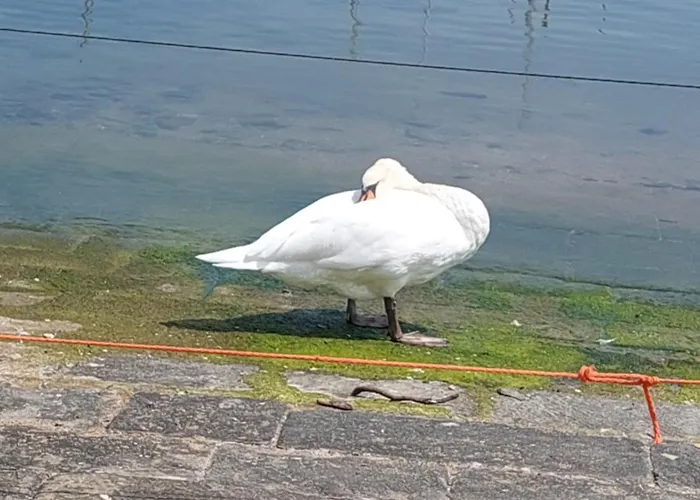 Angolino Appartement San Remo